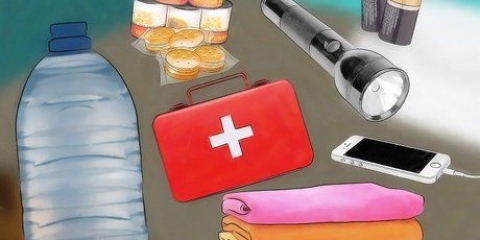 Att överleva en värmebölja