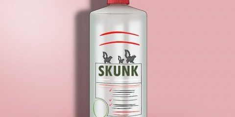 Att ta hand om en hund som blivit sprayad av en skunk