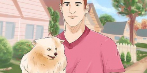Ge en hund ett nytt namn