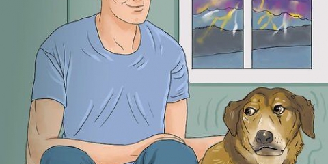 Lugna en hund under ett åskväder