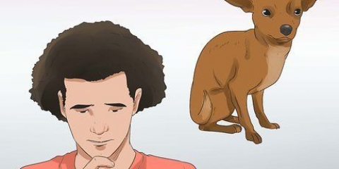 Lägg ner en hund