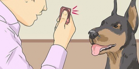 Att lära en hund att le