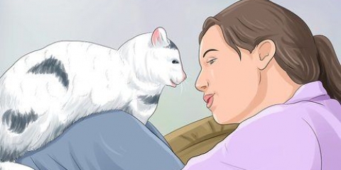 Stoppa en katt från att väcka dig