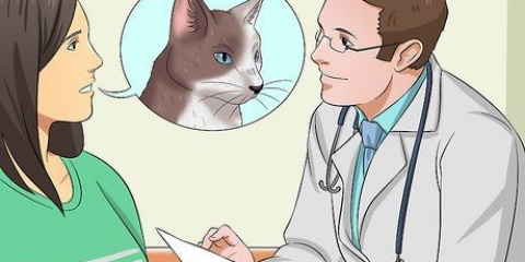 Medicinera en katt
