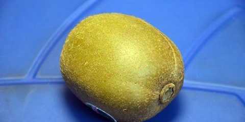 Mogna en kiwi