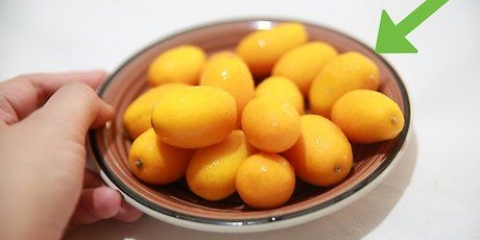 Äter en kumquat