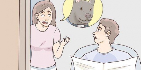 Att hitta en förlorad hund