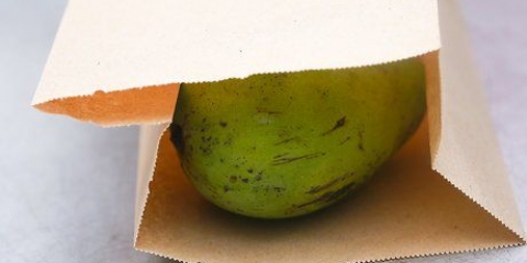 Mogna en mango