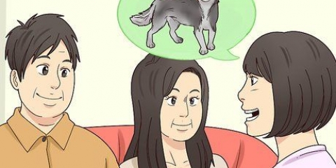 Letar efter ett nytt hem till din hund