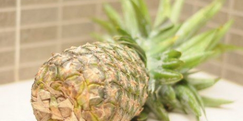 Mogna en omogen ananas