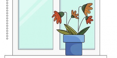 Att rädda en övergödslad planta