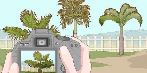 Ta bort en palm