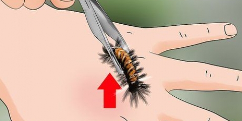 Behandla ett larvstick