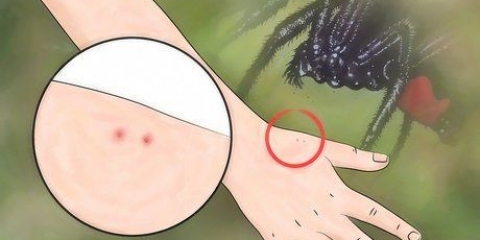 Identifiera ett spindelbett