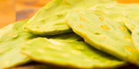 Äter en kaktus med prickly pear