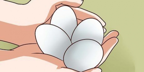 Pastörisera ägg