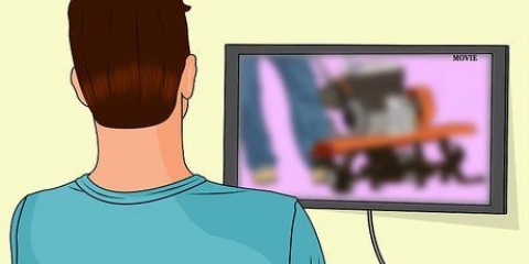 Bli filmregissör