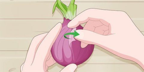 Plantera grodda lök
