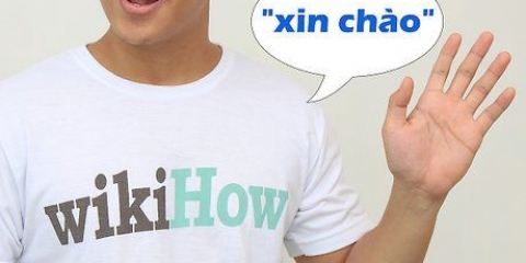 Säg hej på vietnamesiska