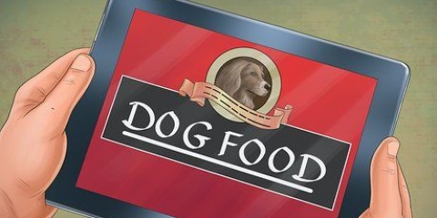 Förbereder hundmat