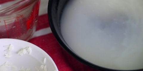 Att göra horchata