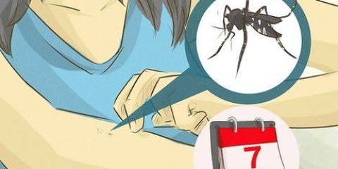Ta hand om någon med dengue