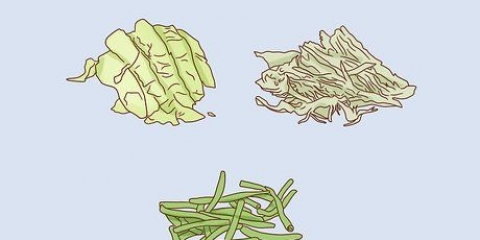 Växande infusoria
