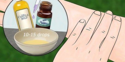 Stöt bort insekter med lavendel