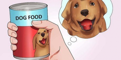 Få din hund att svälja ett piller