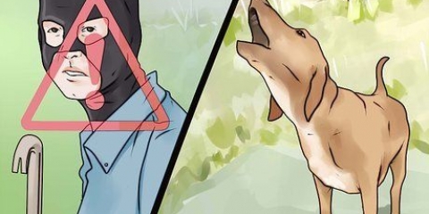 Få din hund att sluta skälla på okända människor