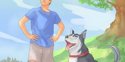 Lär din hund att gå till fots