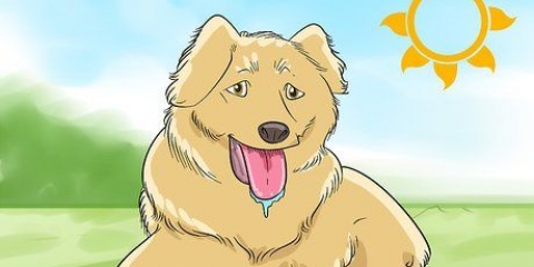 Raka din hund