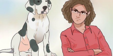 Träna din hund att inte springa iväg