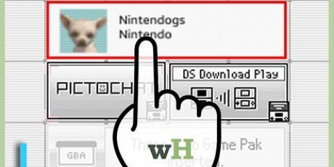 Ta bort ditt nintendogs-spel