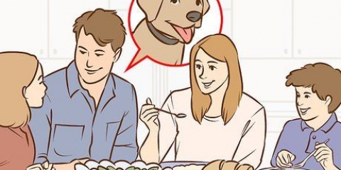 Övertyga dina föräldrar att skaffa en hund