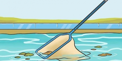Rengör din pool själv