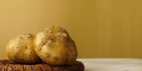 Förbereder jicama
