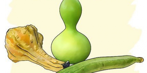 Växande kalebasser