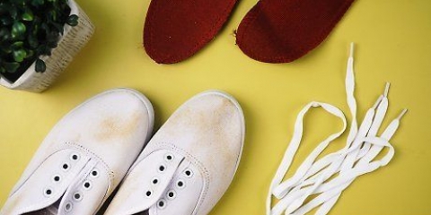 Städa keds