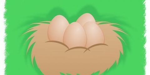 Kläcker kycklingägg