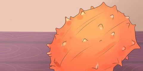 Äter kiwano