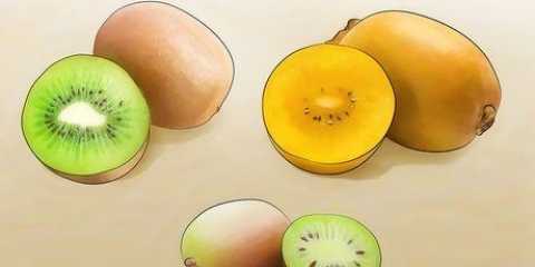 Att odla kiwi