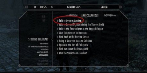 Gå med i det mörka brödraskapet i skyrim
