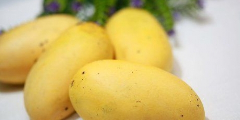 Förvaring av mango
