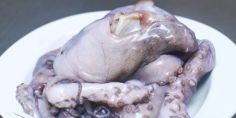 Förbered bläckfisk