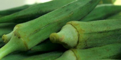 Frysa okra