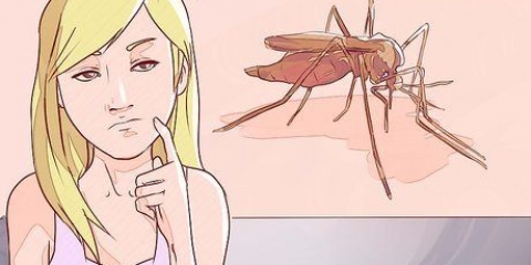Att skilja mellan malaria, dengue och chikungunya
