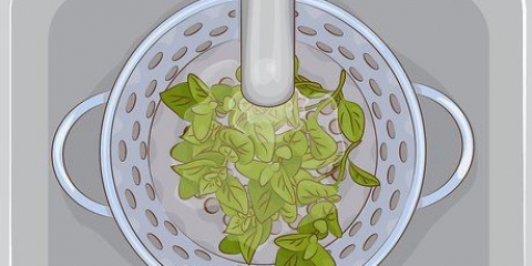 Använder oregano i köket