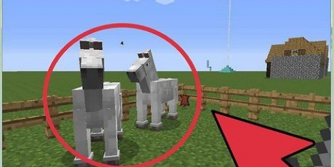 Uppfödning av hästar i minecraft