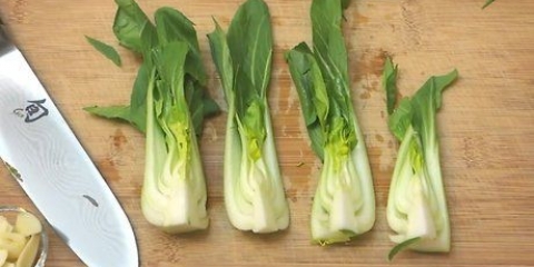 Förbered pak choi